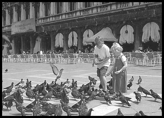 Young kids playing with the pigeons,
                Piazza San Marco, Venice