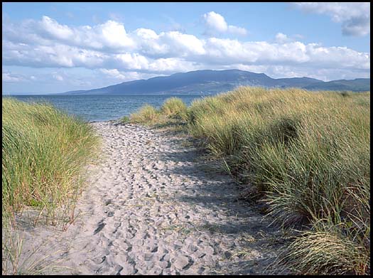 Sandy beach at Castlegregory
                overlooking Brandon Bay