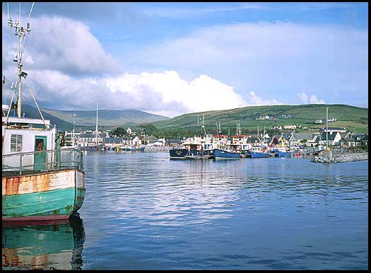 The boats of Dingle Harbor