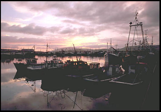 Sunset on the Dingle Harbor