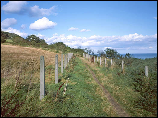 Coastal footpath near Bray, south of Dublin