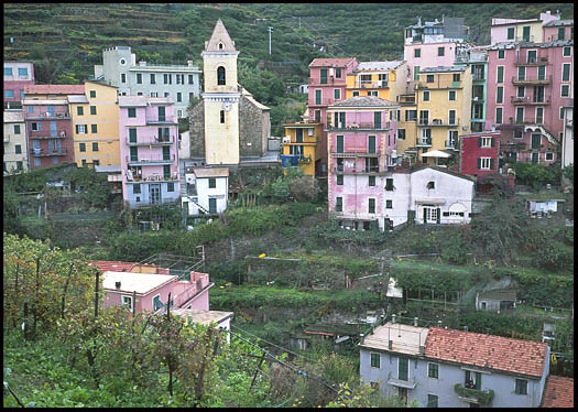 Looking out over Manarola from the
                terraced gardens