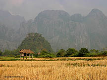 Ricefield hut, Vang Vieng,  Laos